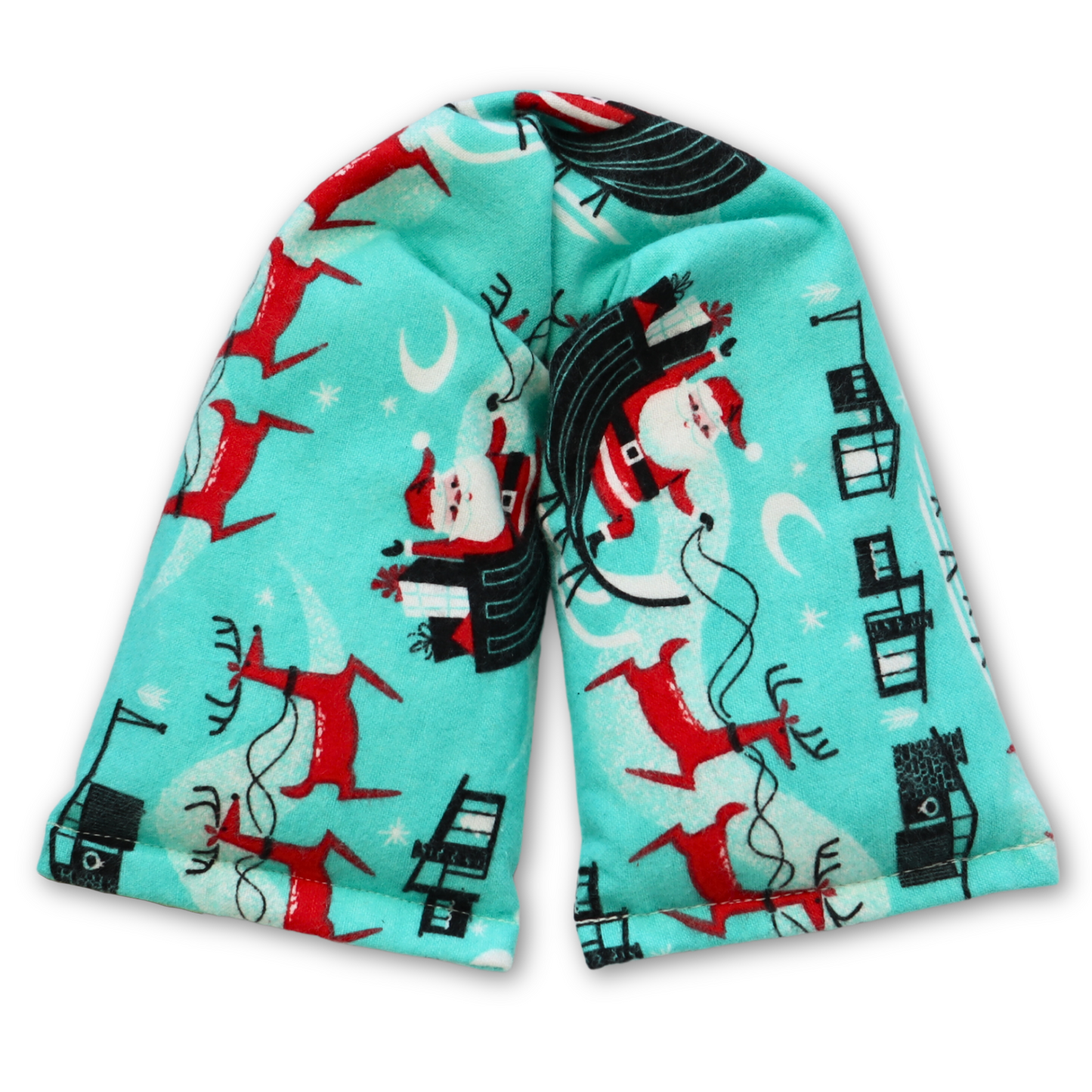 Santa's Special Delivery