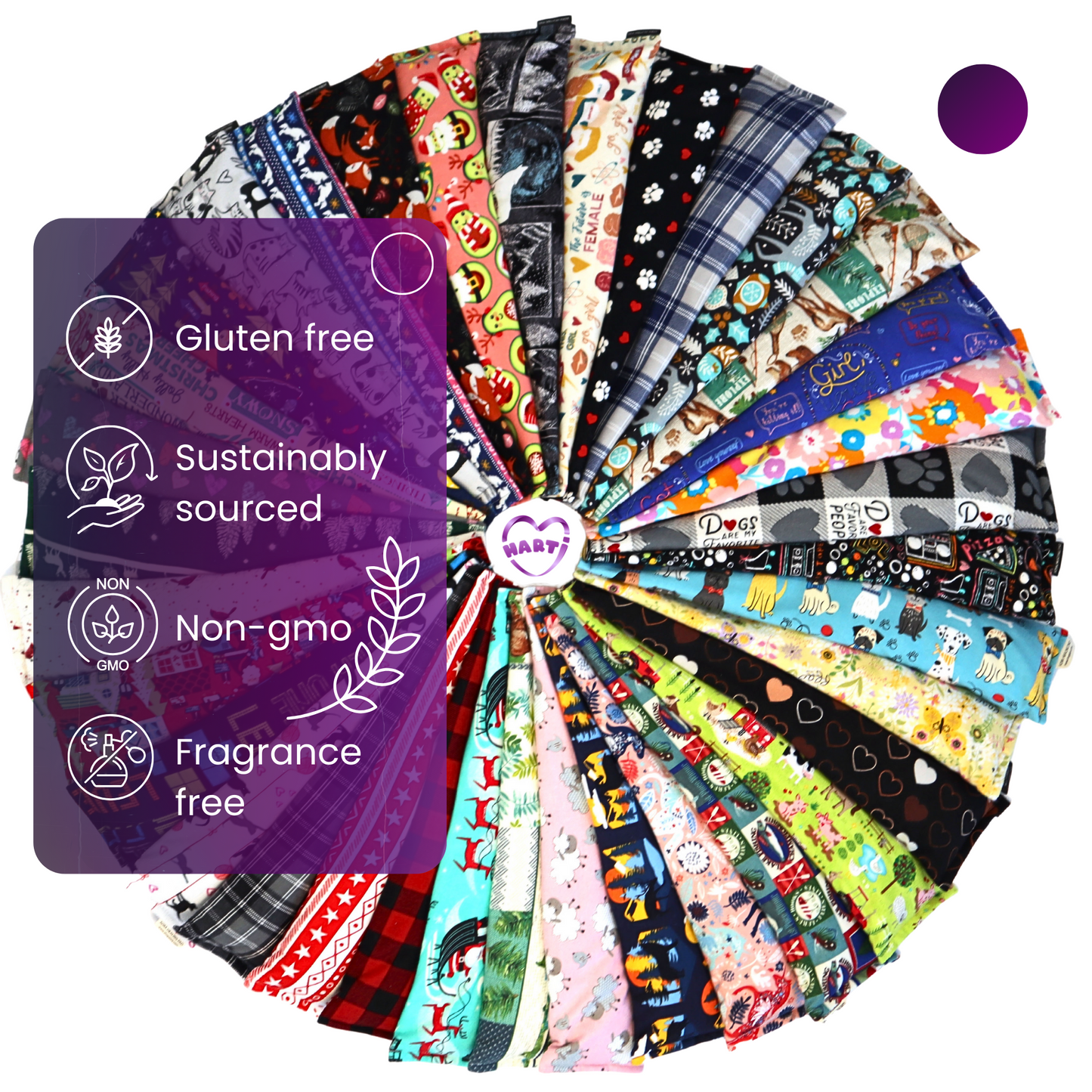 Santa's Special Delivery